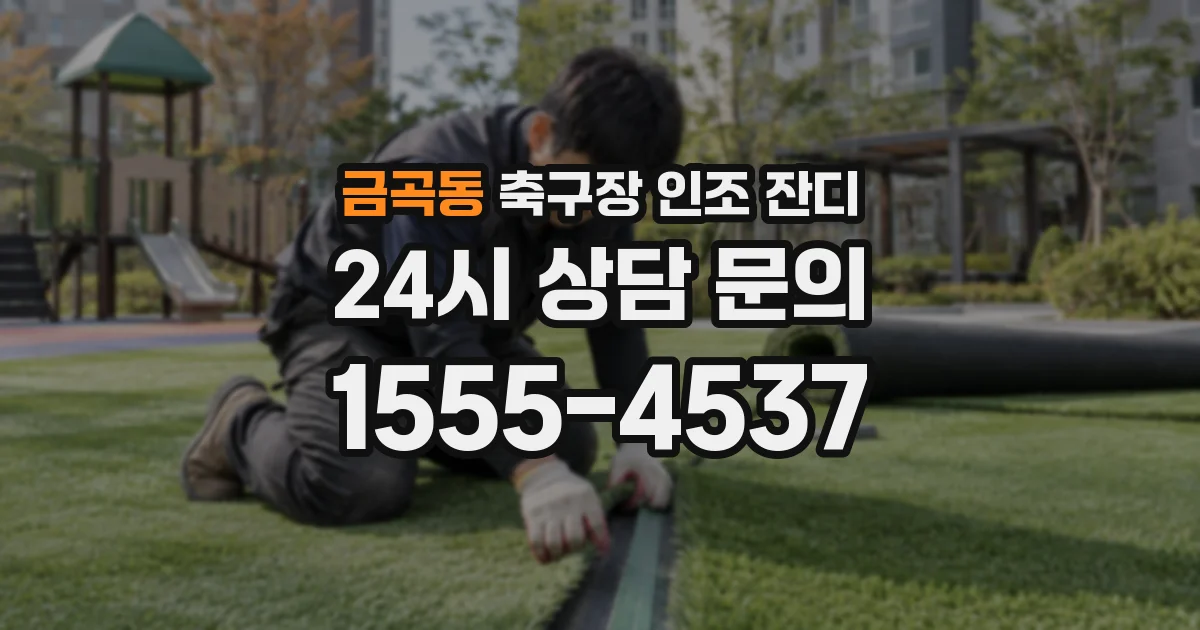 금곡동 축구장 인조 잔디