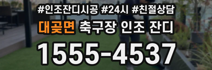 대곶면 축구장 인조 잔디