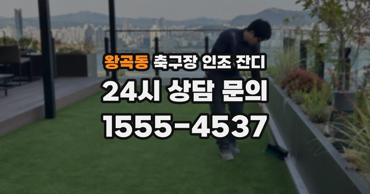왕곡동 축구장 인조 잔디