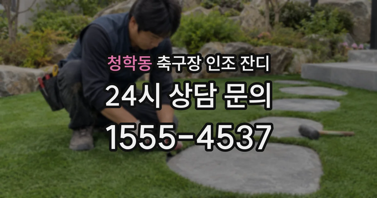 청학동 축구장 인조 잔디