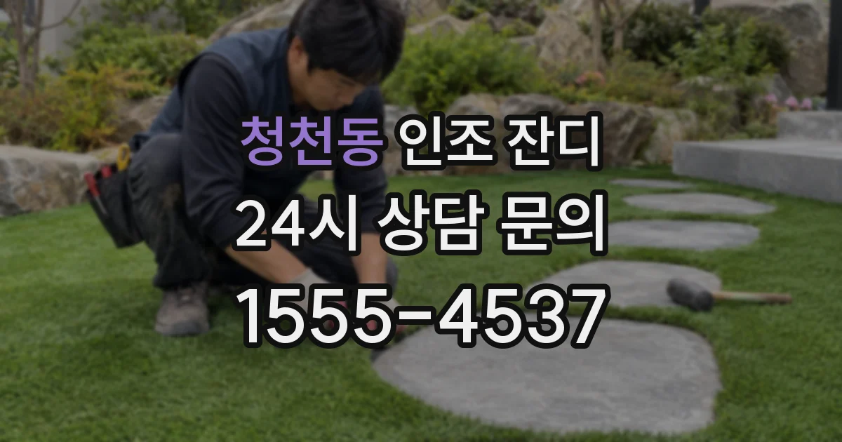 청천동 인조 잔디