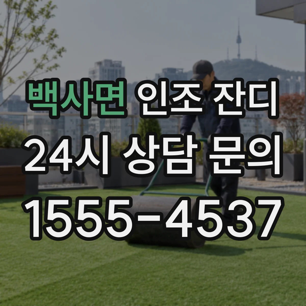백사면 인조 잔디