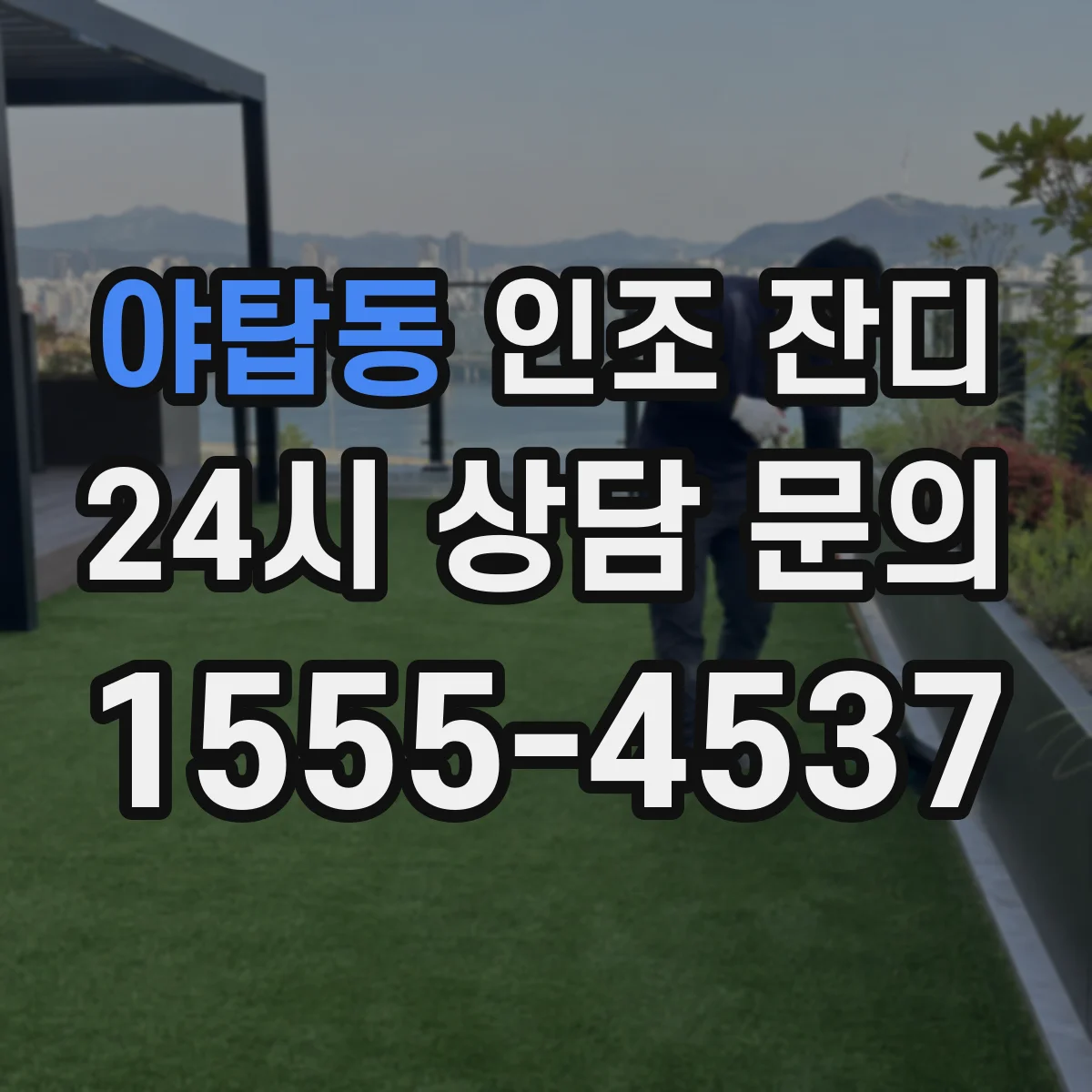 야탑동 인조 잔디