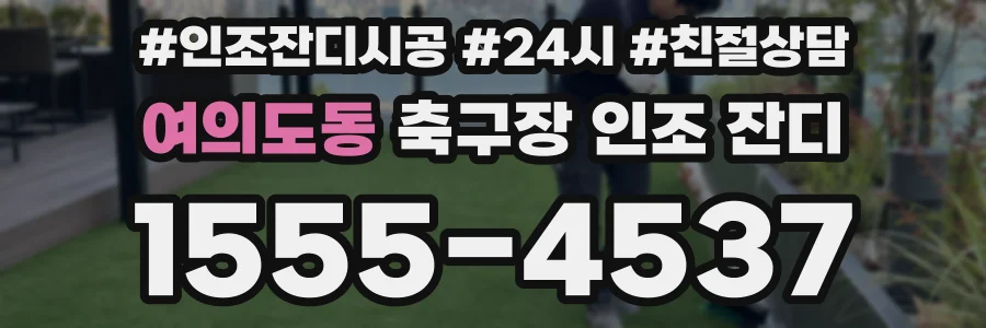 여의도동 축구장 인조 잔디