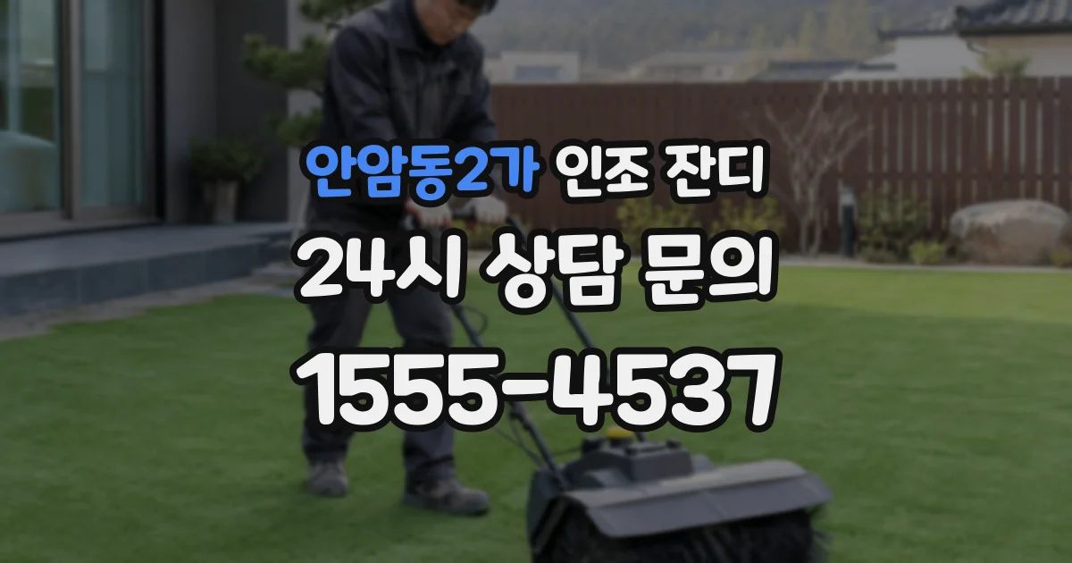 안암동2가 인조 잔디