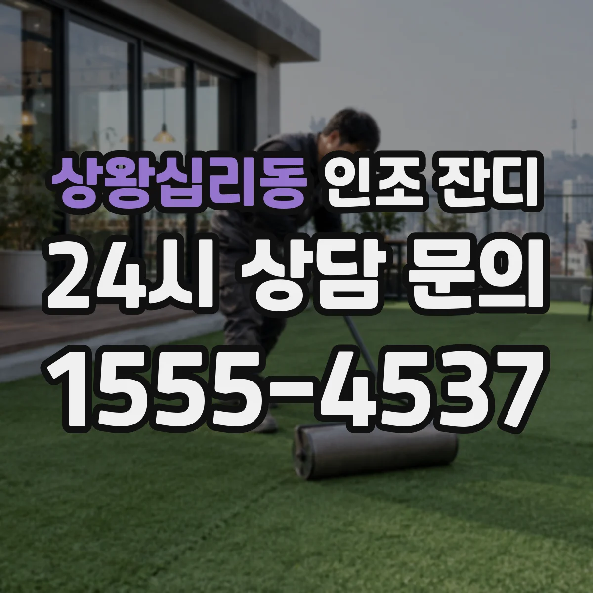 상왕십리동 인조 잔디