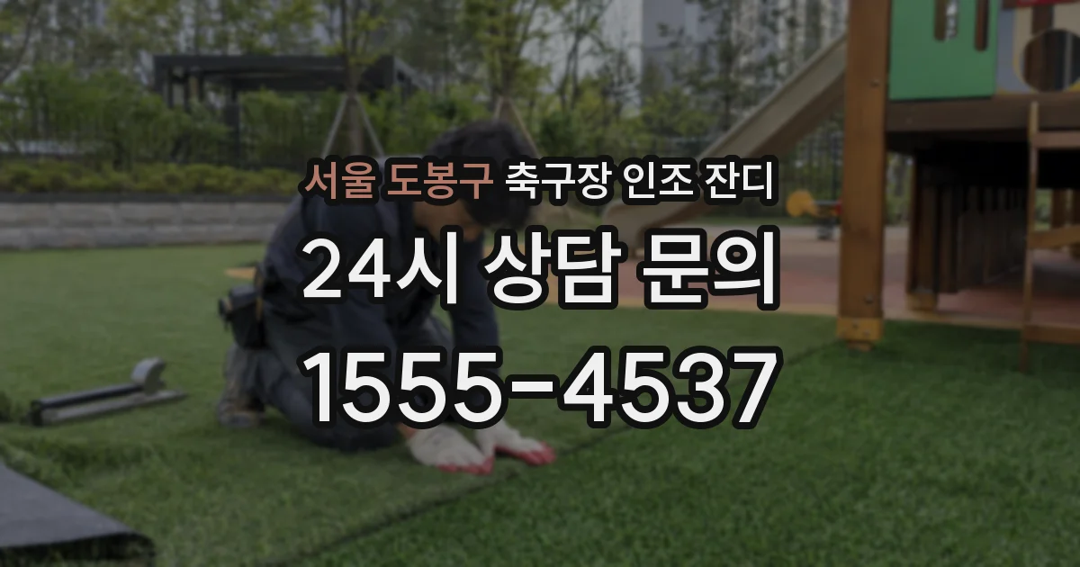 서울 도봉구 축구장 인조 잔디