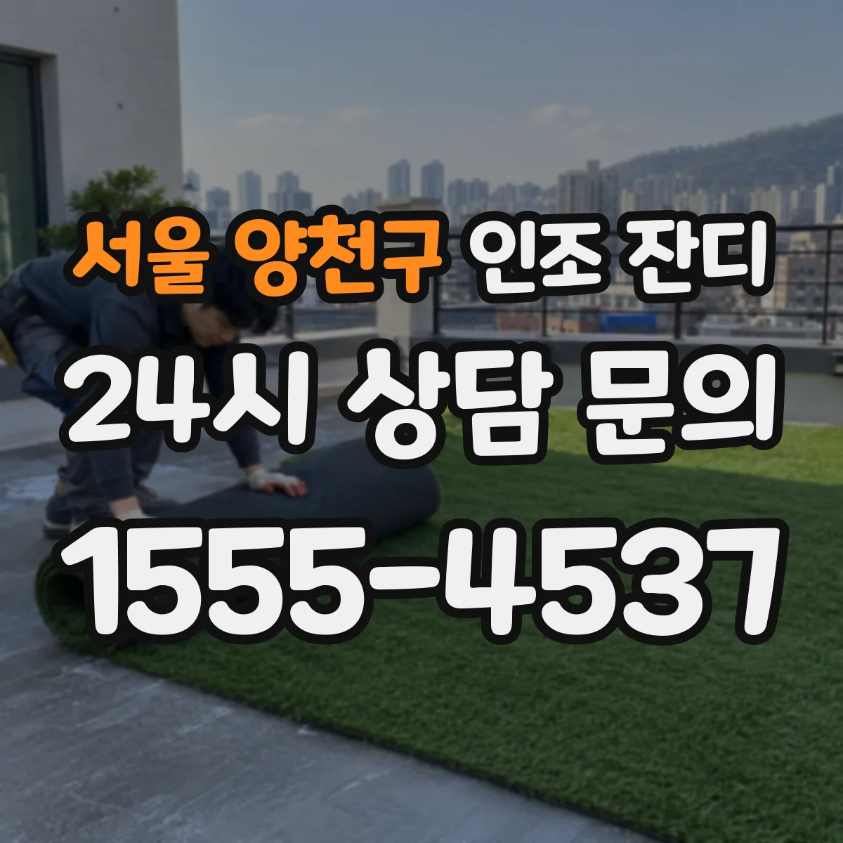 서울 양천구 인조 잔디