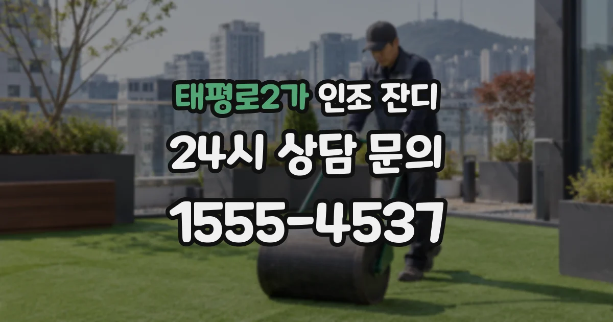태평로2가 인조 잔디