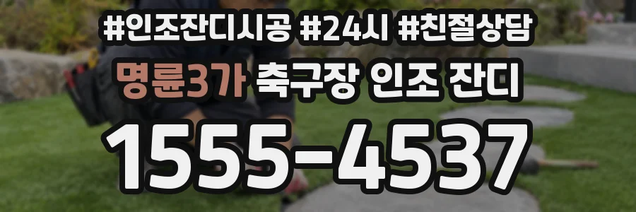 명륜3가 축구장 인조 잔디