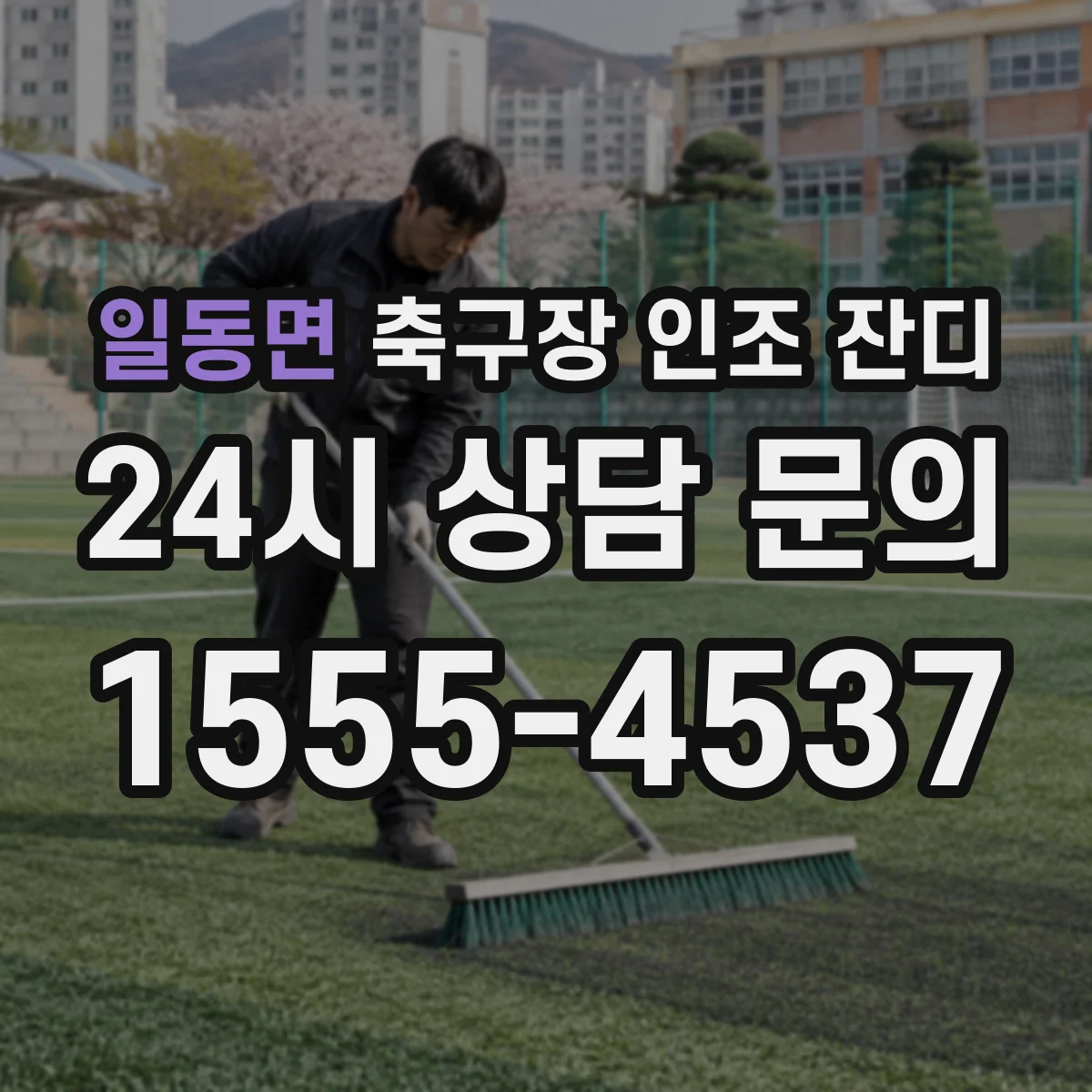 일동면 축구장 인조 잔디
