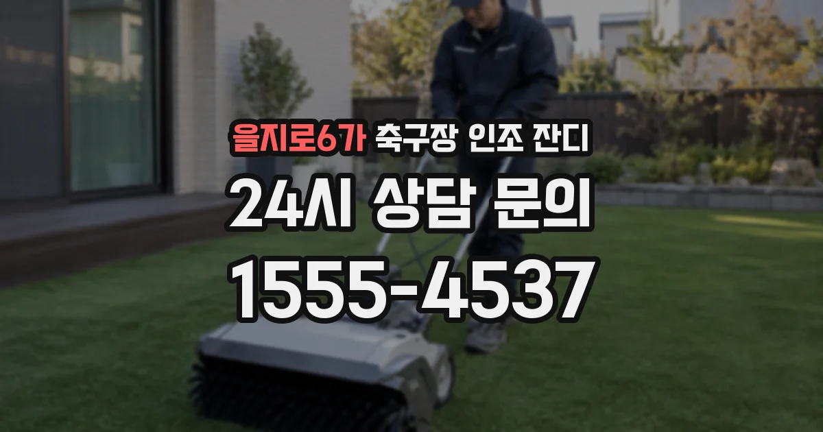 을지로6가 축구장 인조 잔디