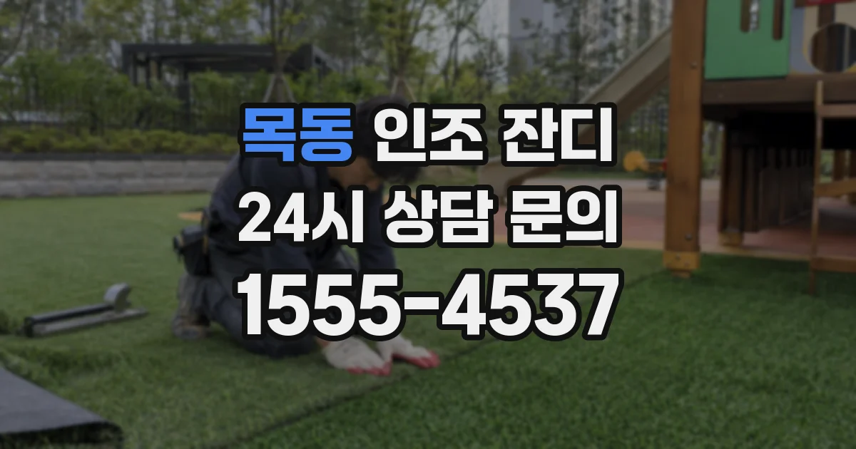 목동 인조 잔디