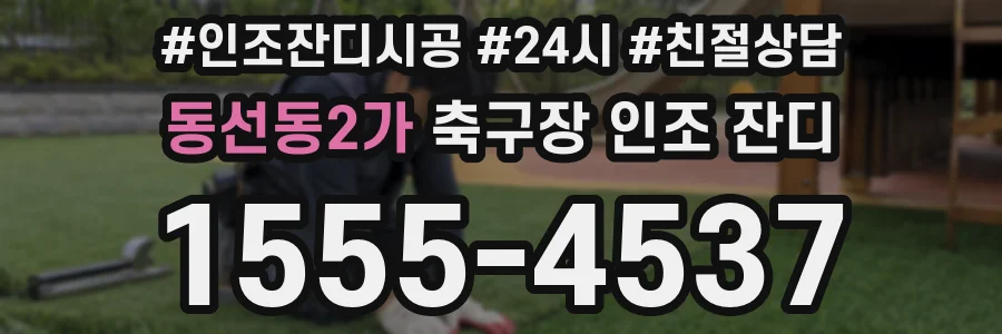 동선동2가 축구장 인조 잔디