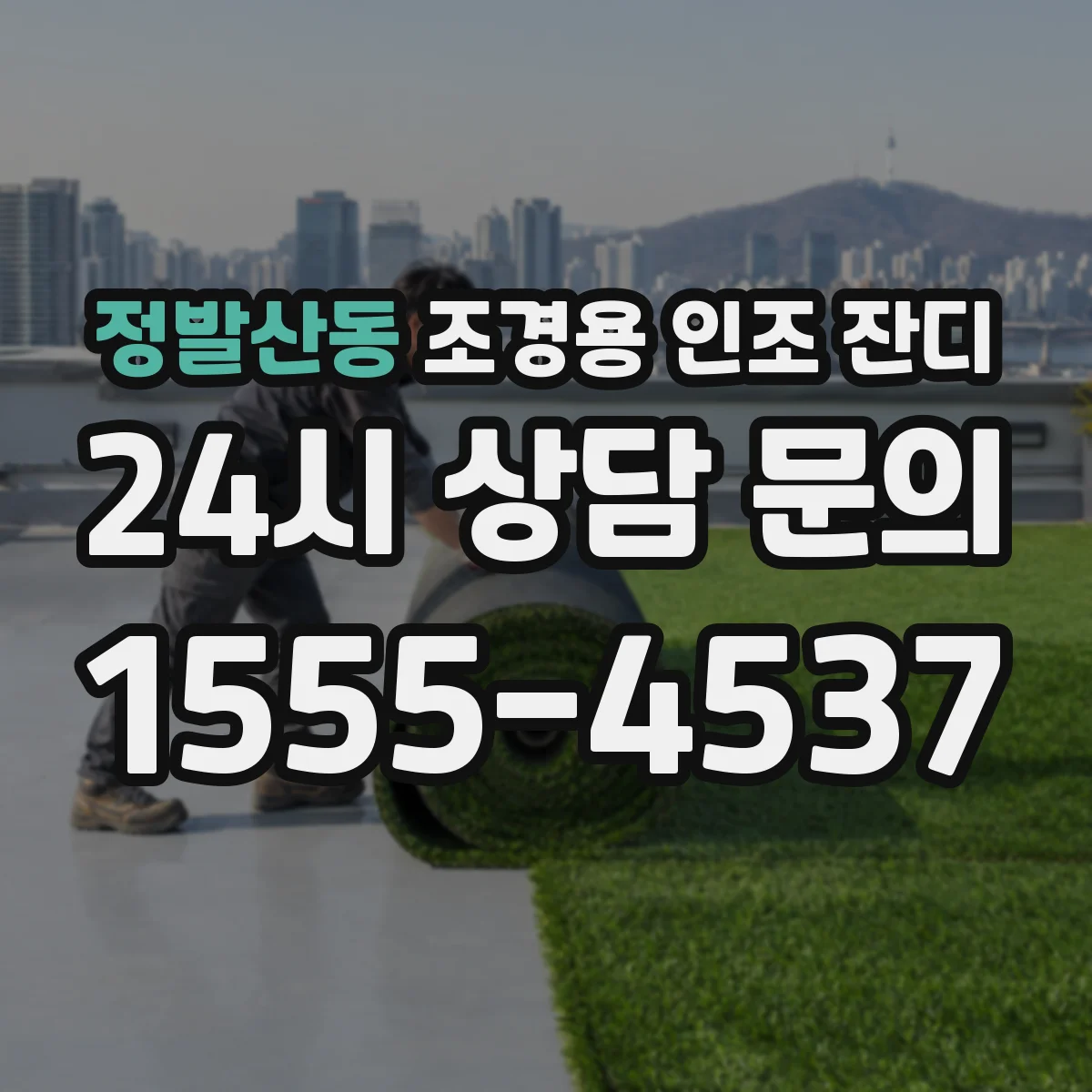 정발산동 조경용 인조 잔디
