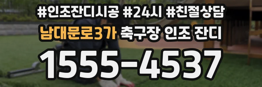 남대문로3가 축구장 인조 잔디