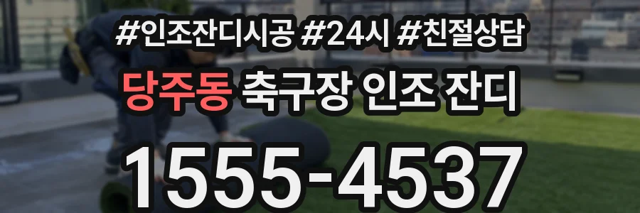 당주동 축구장 인조 잔디