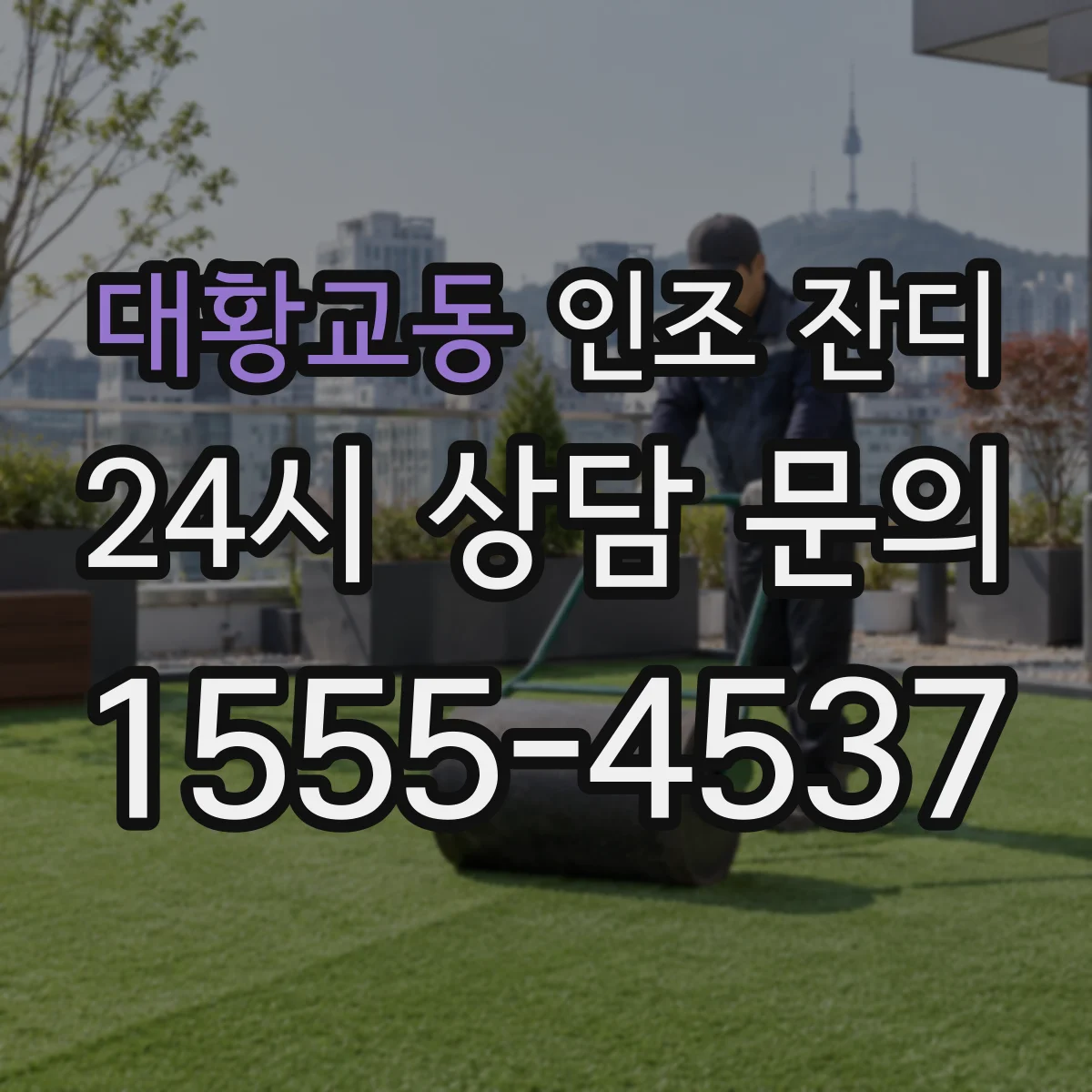 대황교동 인조 잔디