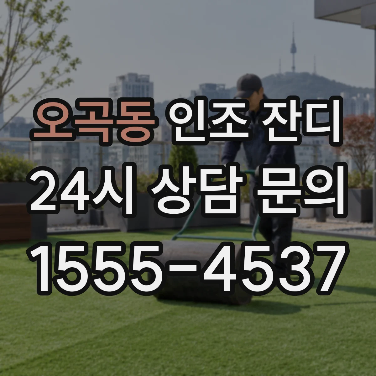 오곡동 인조 잔디