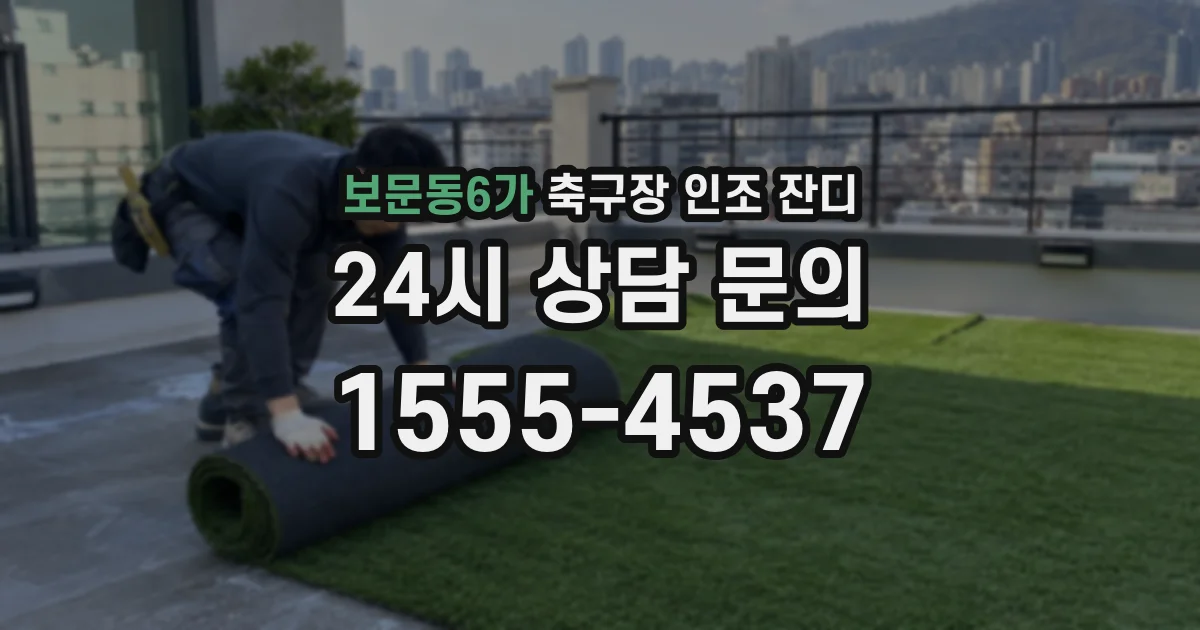 보문동6가 축구장 인조 잔디