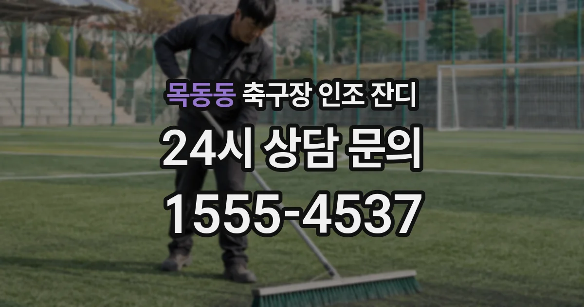 목동동 축구장 인조 잔디