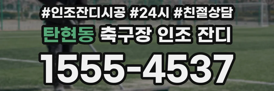 탄현동 축구장 인조 잔디