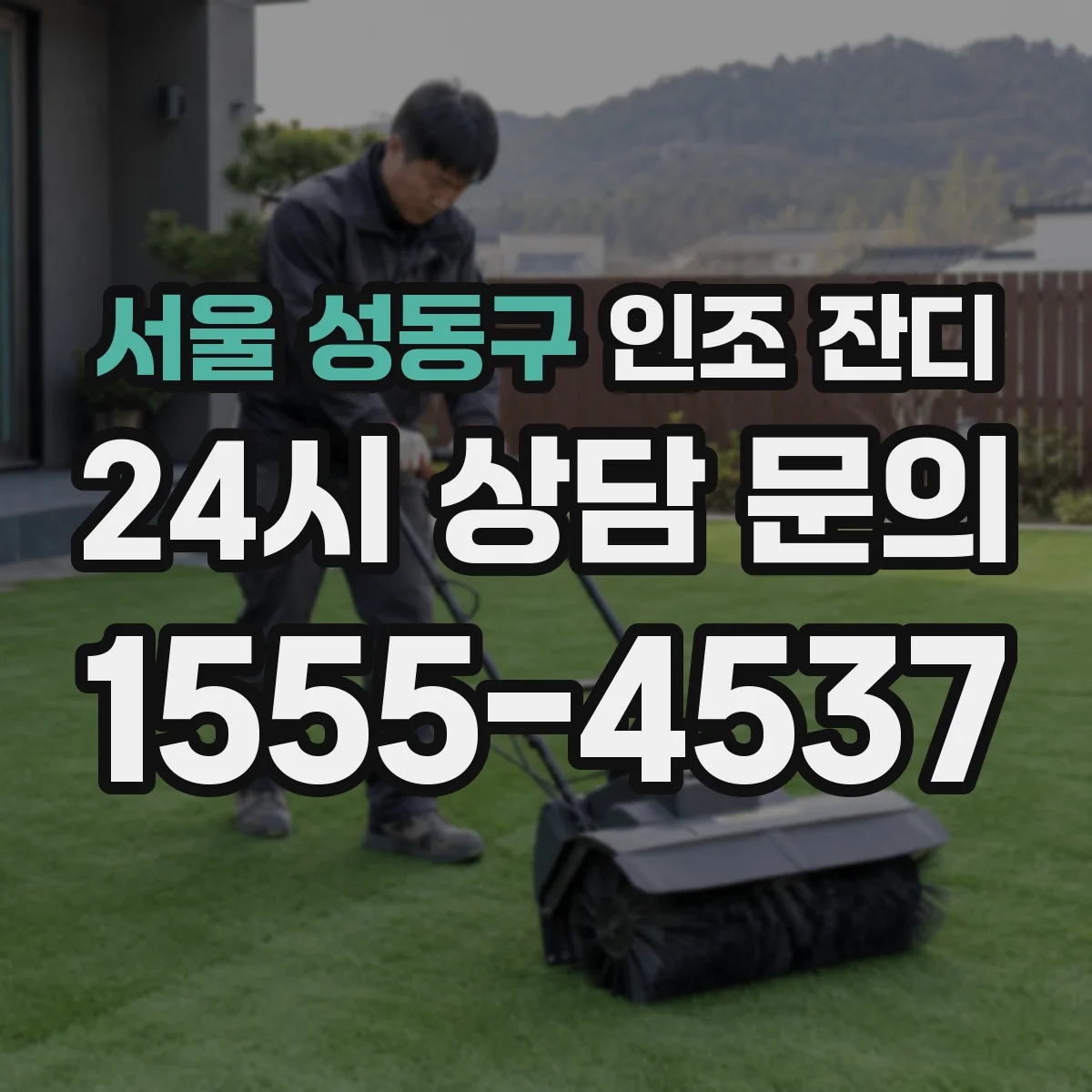 서울 성동구 인조 잔디