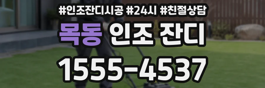 목동 인조 잔디