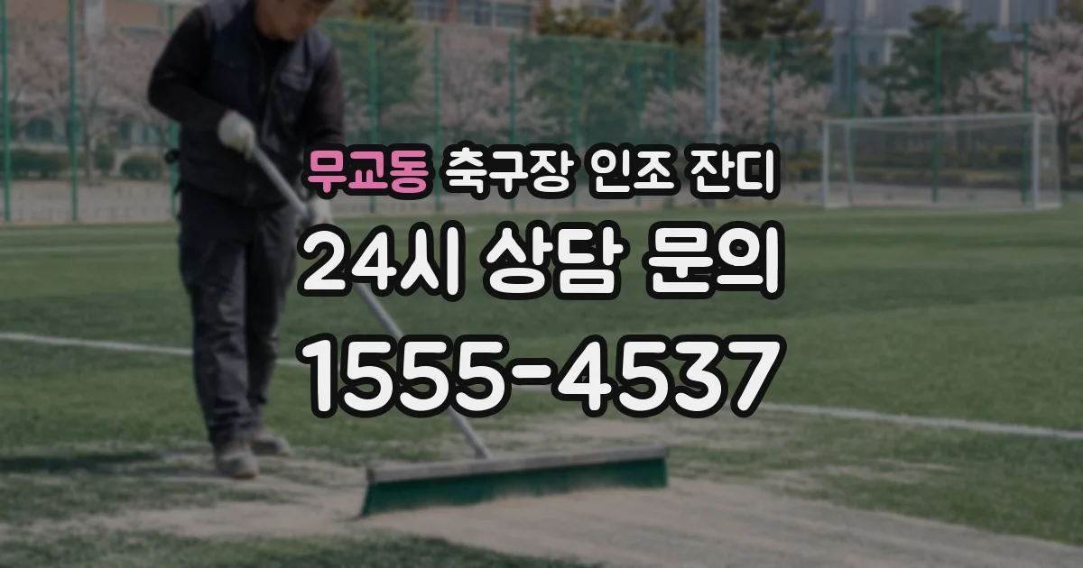 무교동 축구장 인조 잔디