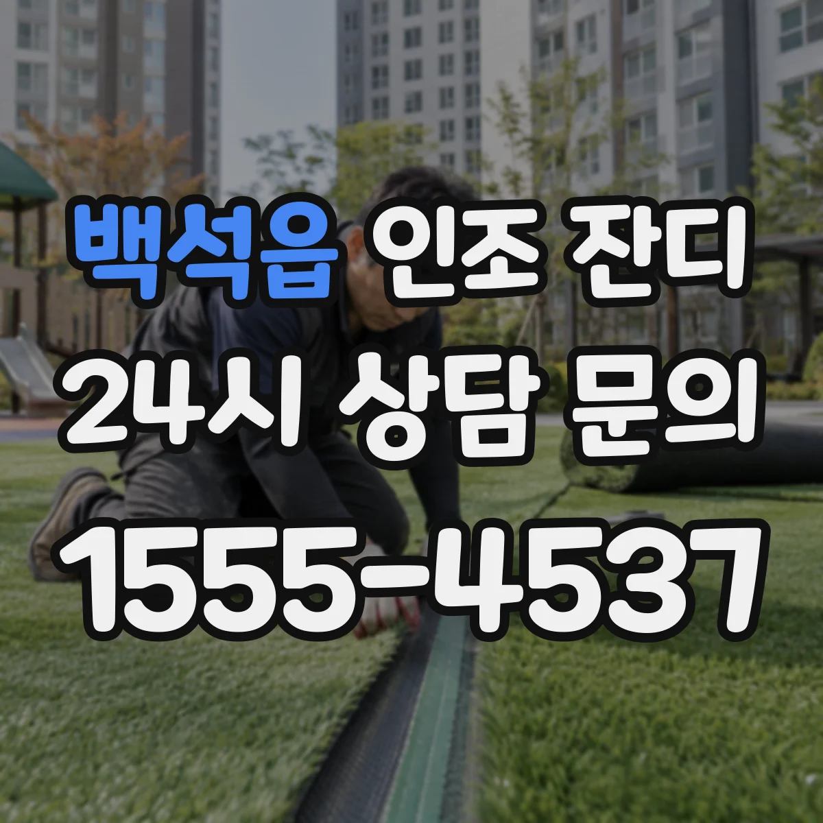 백석읍 인조 잔디