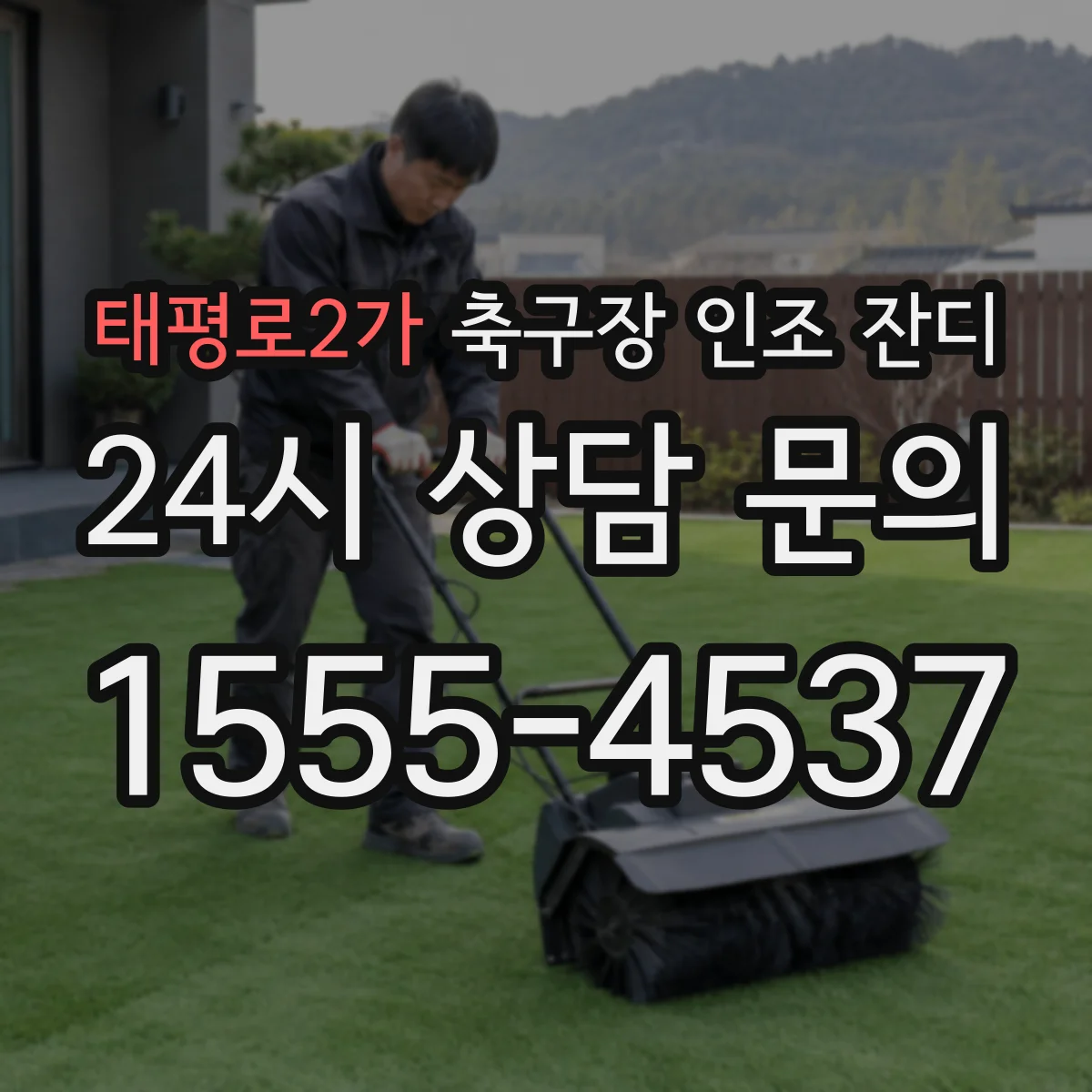 태평로2가 축구장 인조 잔디
