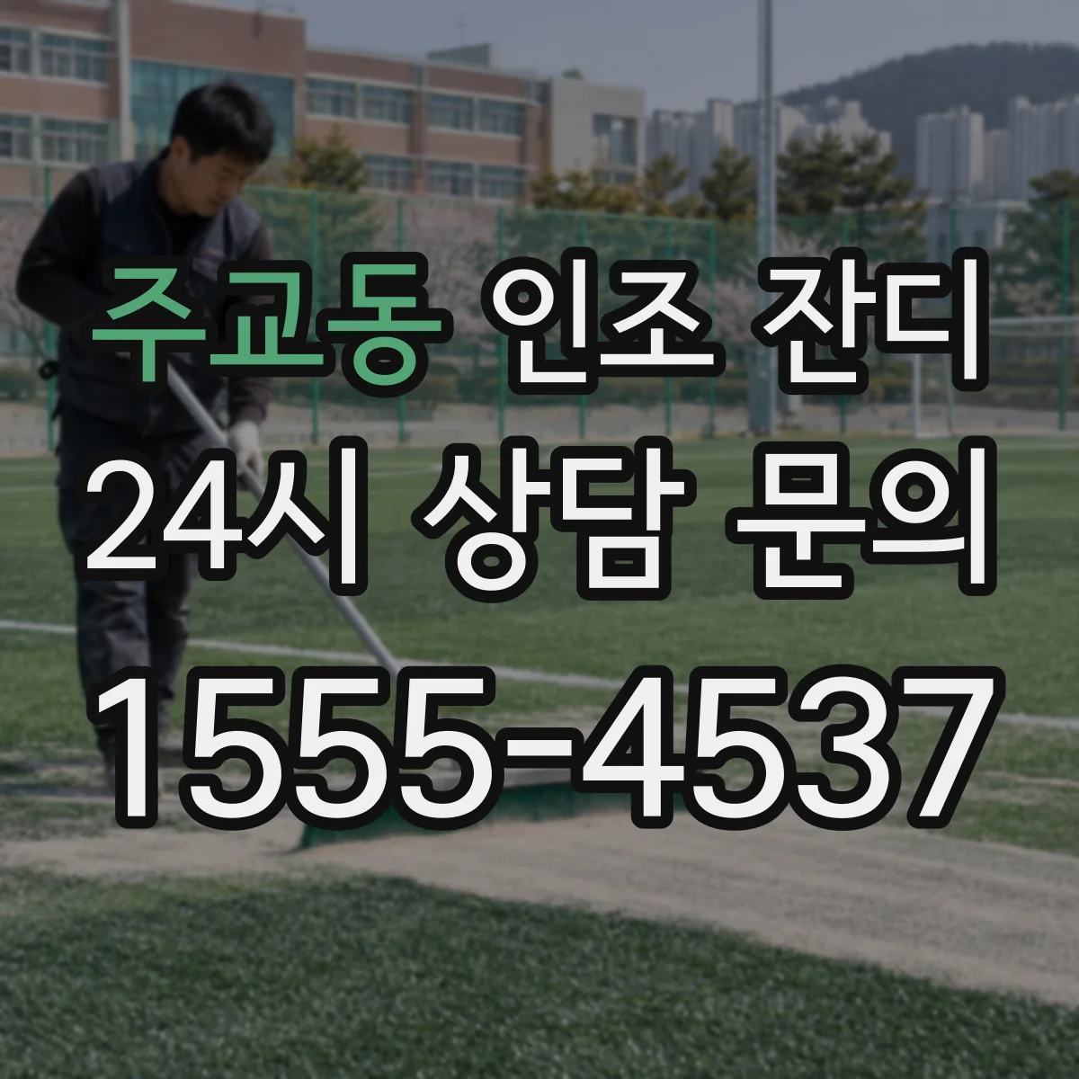주교동 인조 잔디