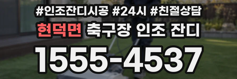 현덕면 축구장 인조 잔디