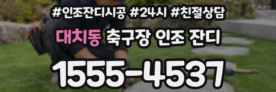 대치동 축구장 인조 잔디