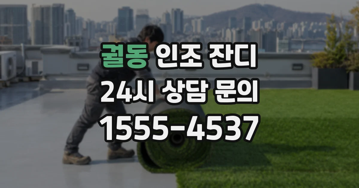 궐동 인조 잔디