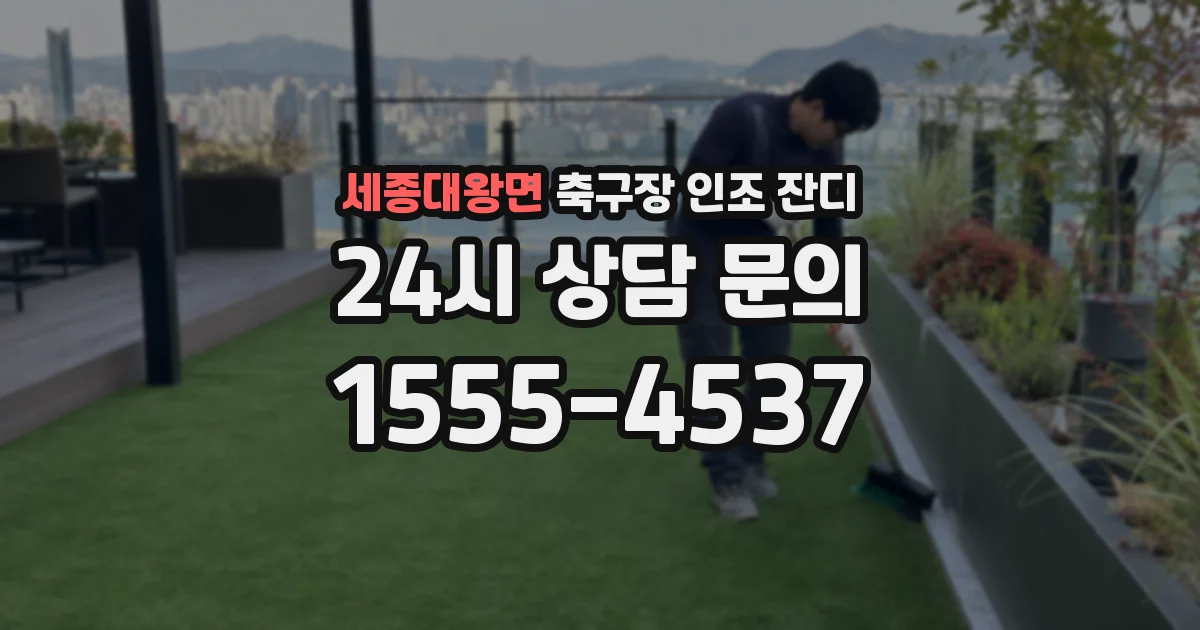 세종대왕면 축구장 인조 잔디