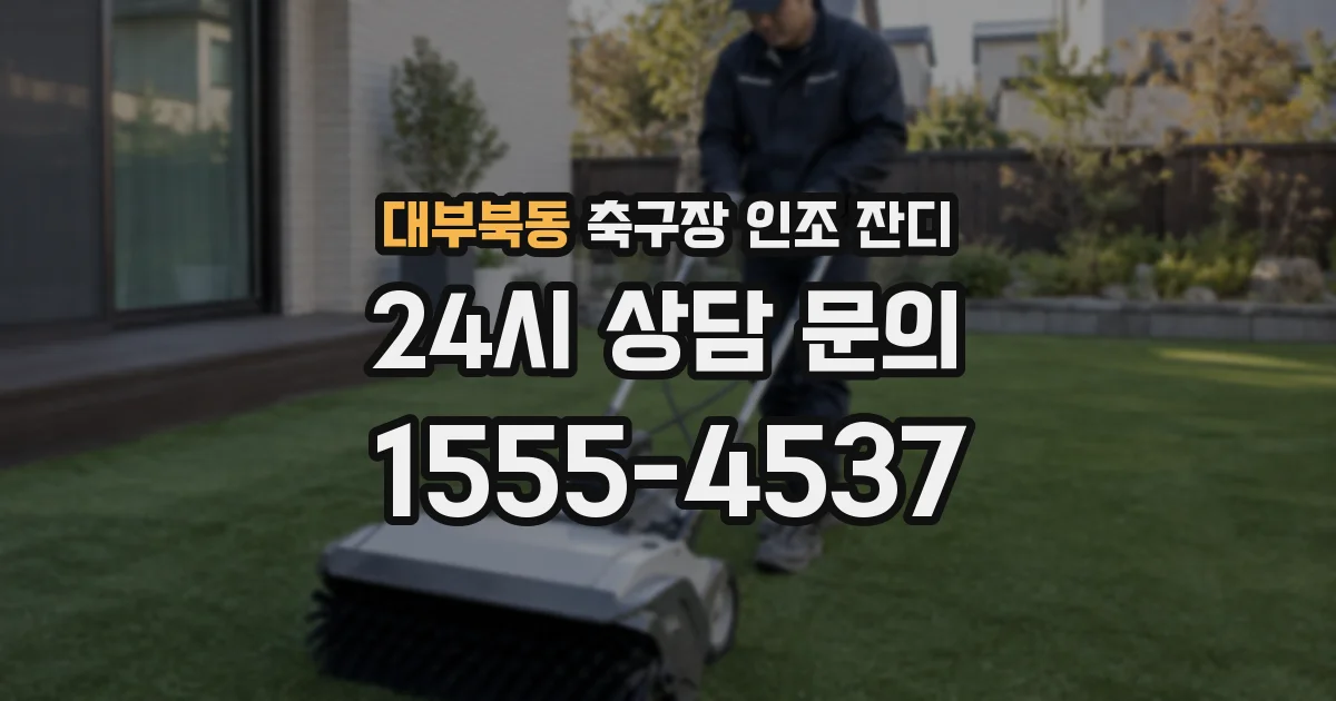 대부북동 축구장 인조 잔디