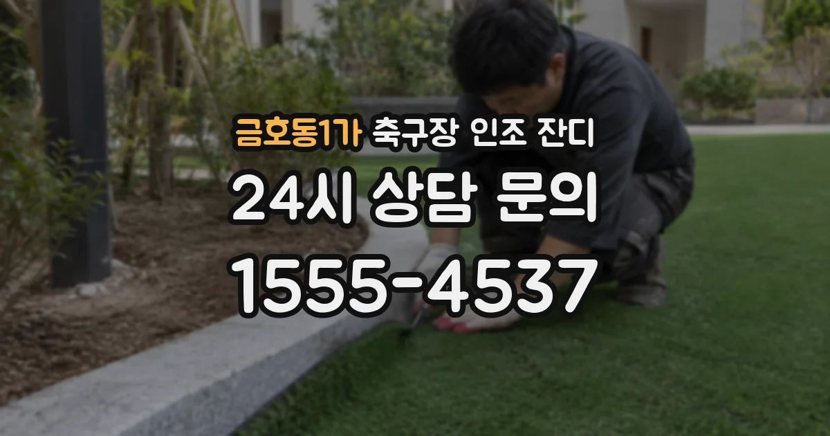 금호동1가 축구장 인조 잔디