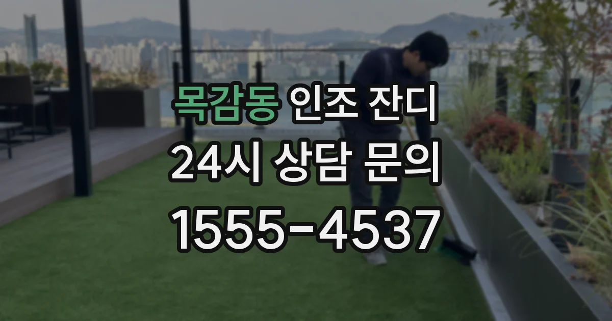목감동 인조 잔디