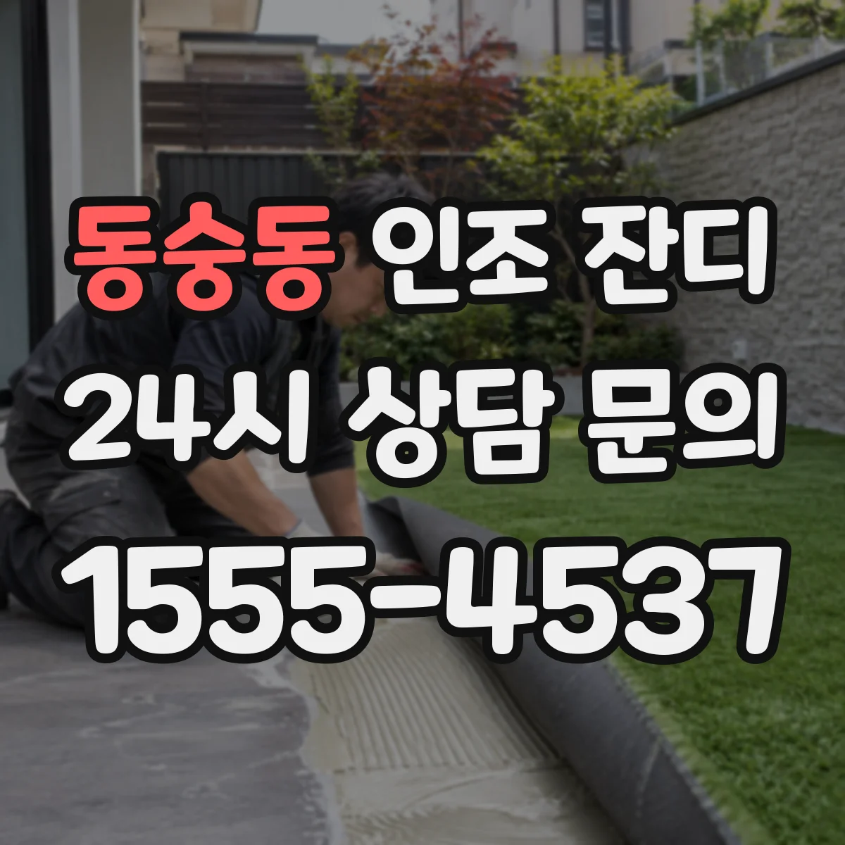 동숭동 인조 잔디
