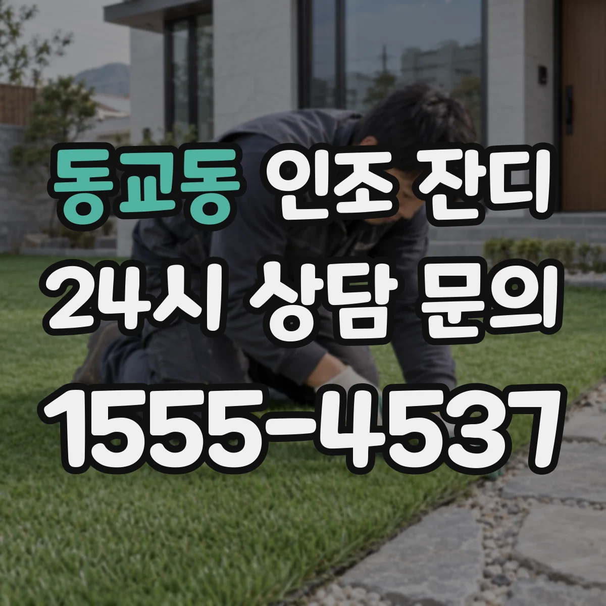 동교동 인조 잔디
