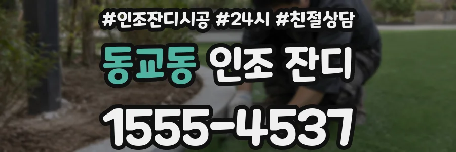 동교동 인조 잔디