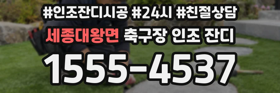 세종대왕면 축구장 인조 잔디