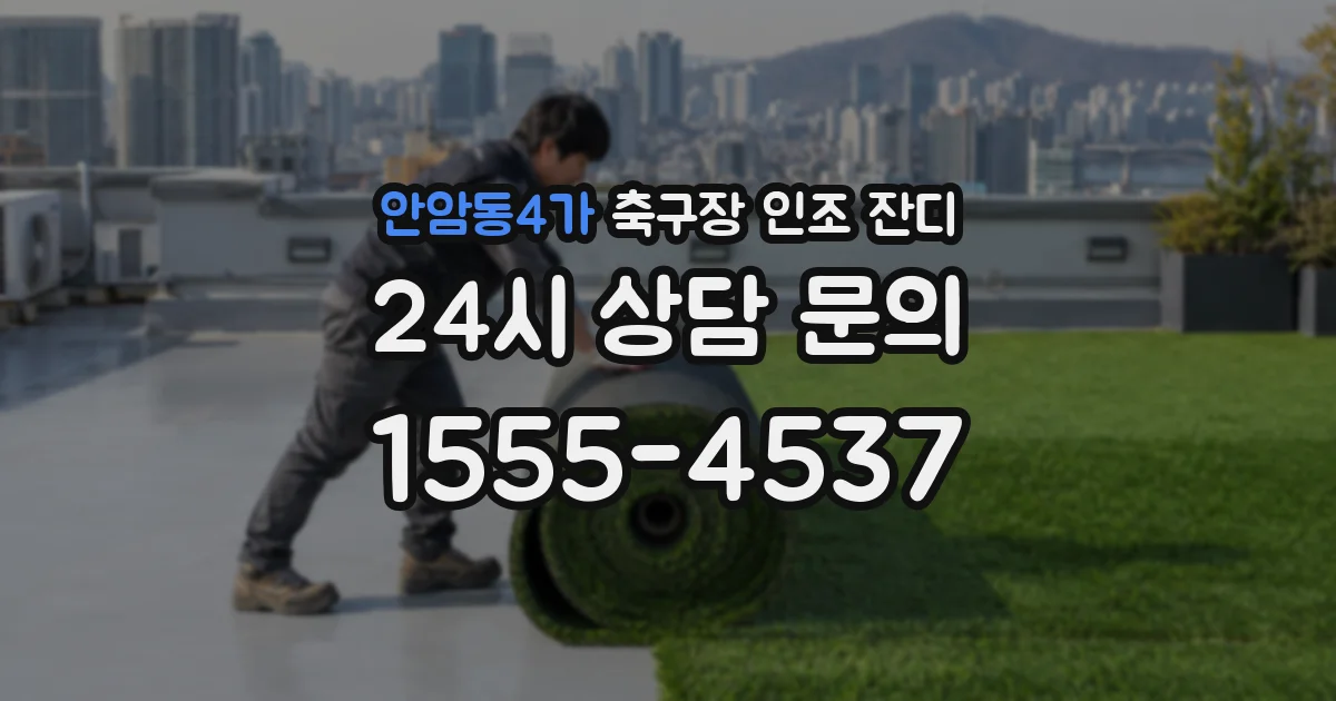 안암동4가 축구장 인조 잔디