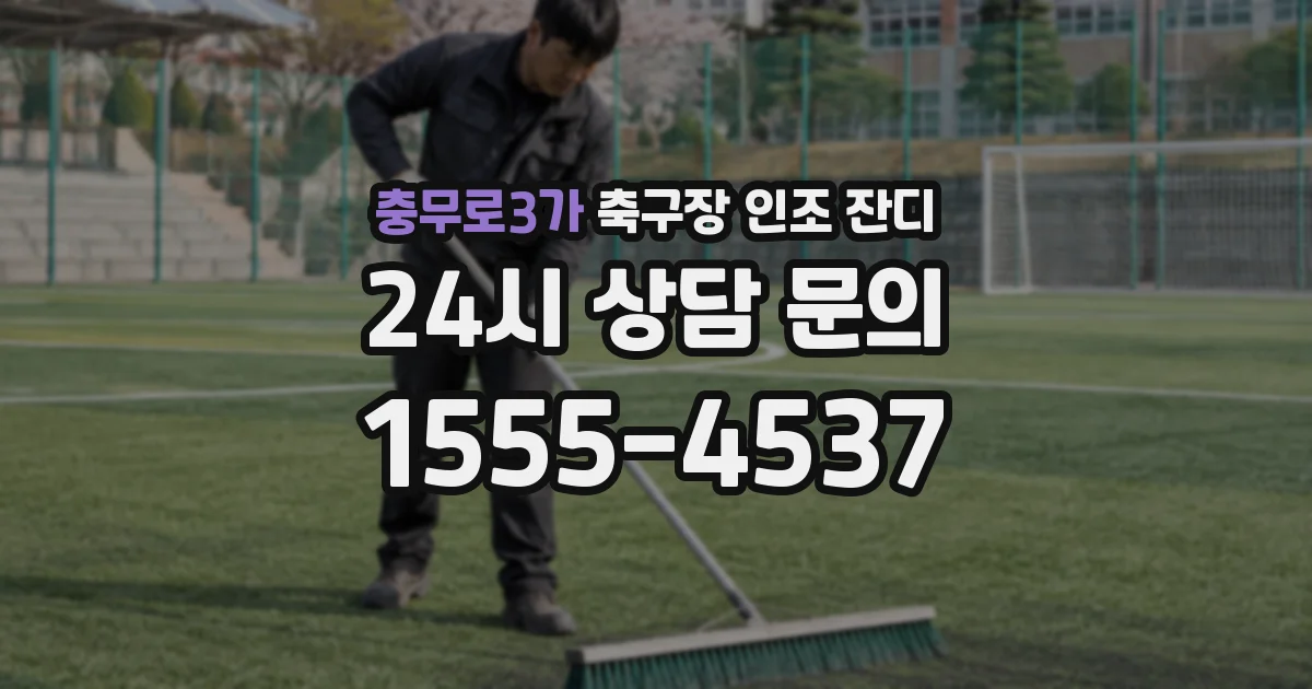 충무로3가 축구장 인조 잔디