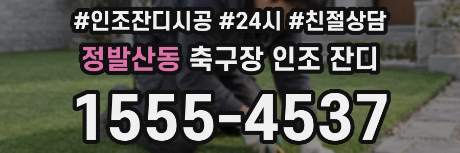 정발산동 축구장 인조 잔디