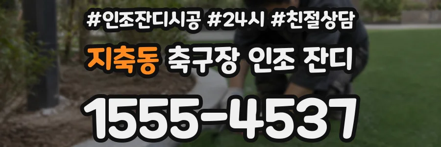지축동 축구장 인조 잔디