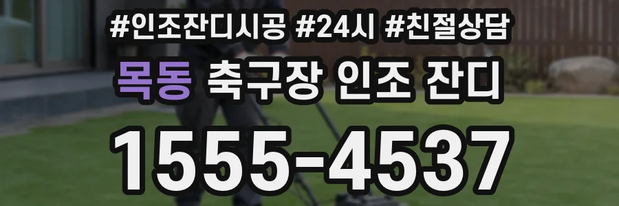 목동 축구장 인조 잔디