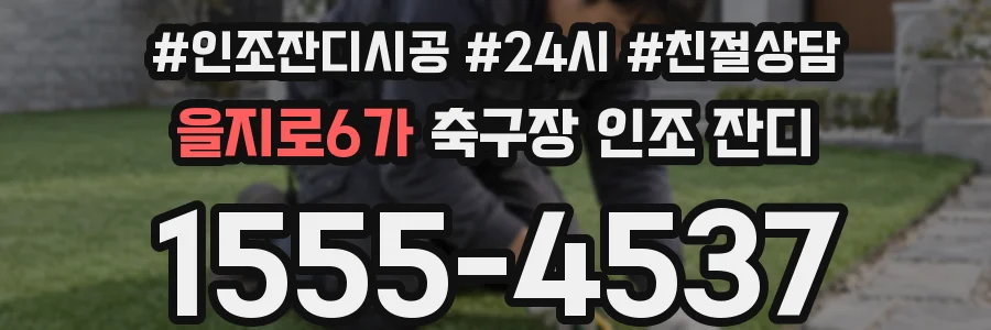 을지로6가 축구장 인조 잔디