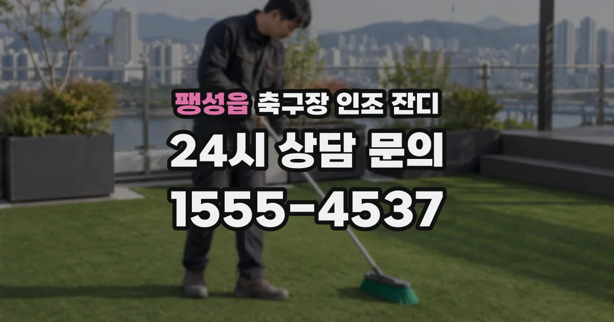 팽성읍 축구장 인조 잔디